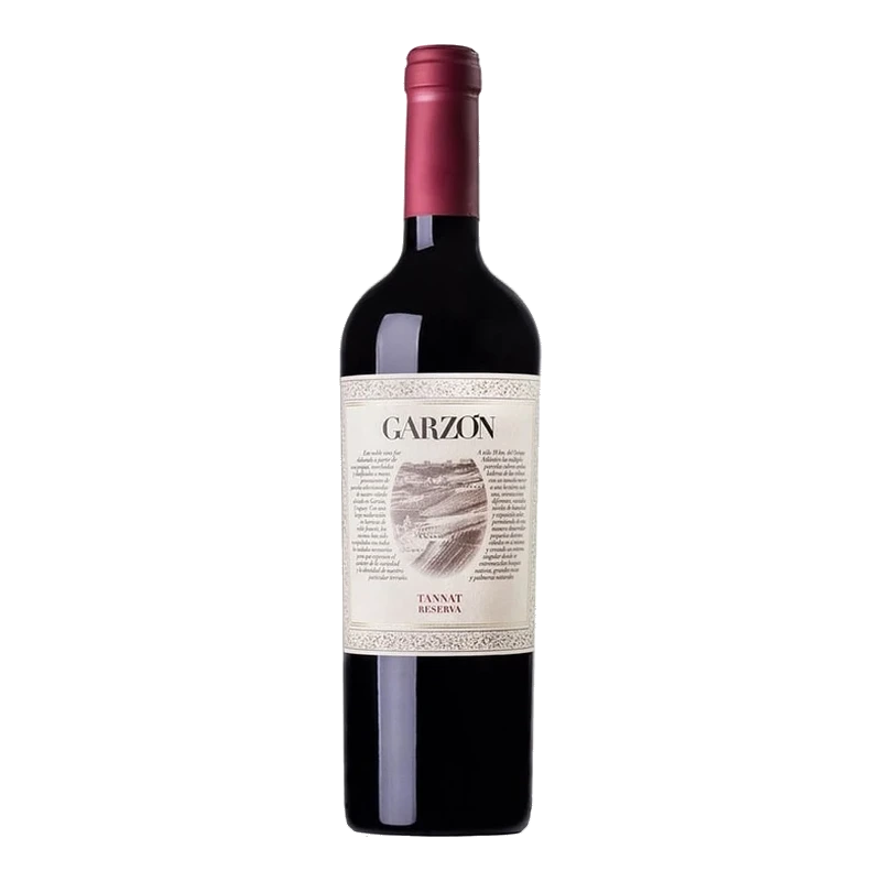 Bodega Garzon Reserve Tannat 2023